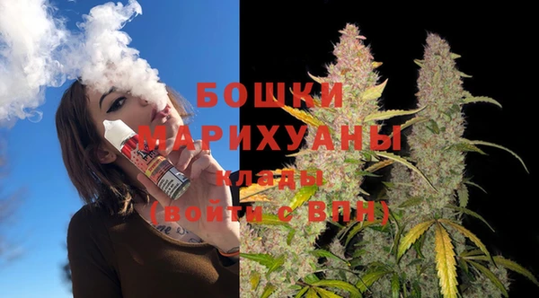 PSILOCYBIN Баксан