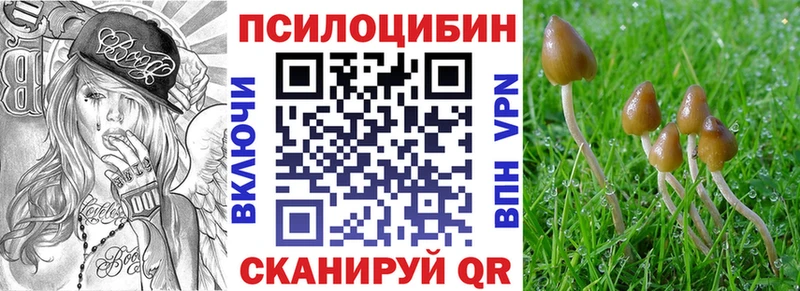 Псилоцибиновые грибы Psilocybine cubensis Новая Ладога