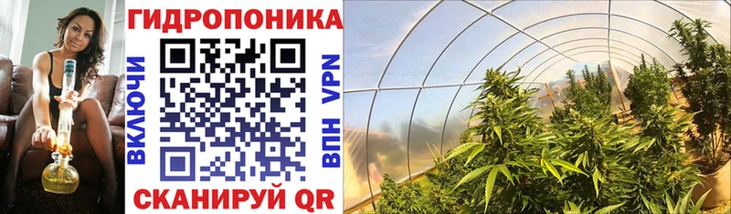 кракен сайт  продажа наркотиков  Новая Ладога  Каннабис White Widow 